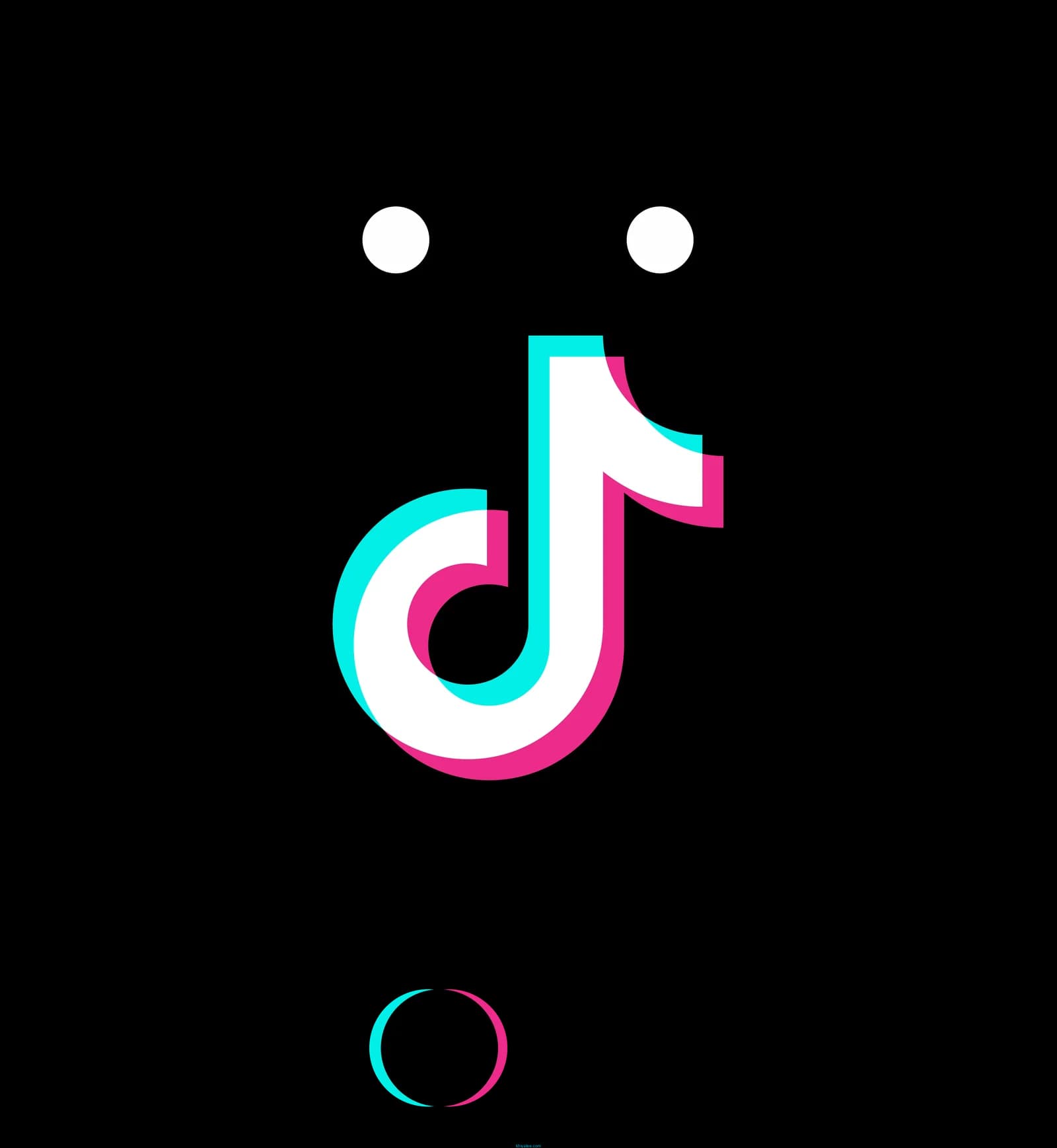 TikTok Shop Partner badge